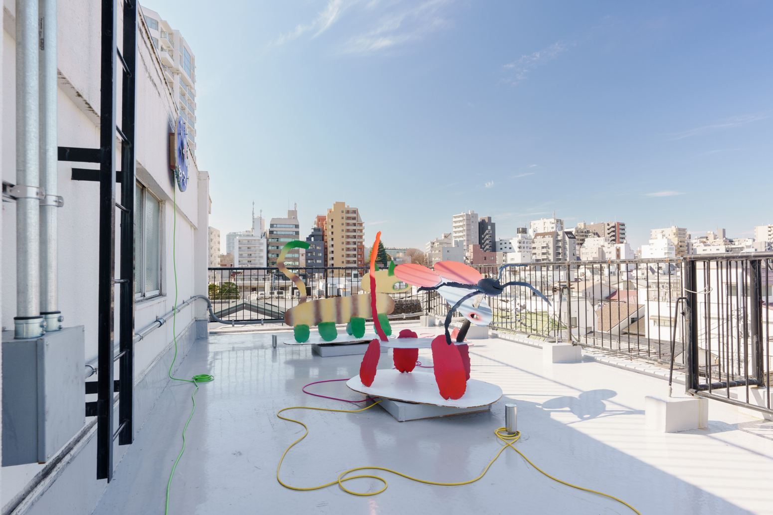 神農理恵 Rie Shinno — The Force Acting Nicely installation view